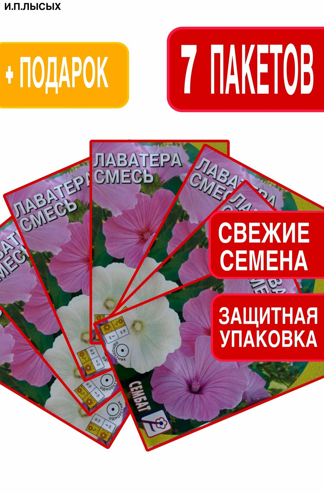 Семена Лаватера Смесь окрасок