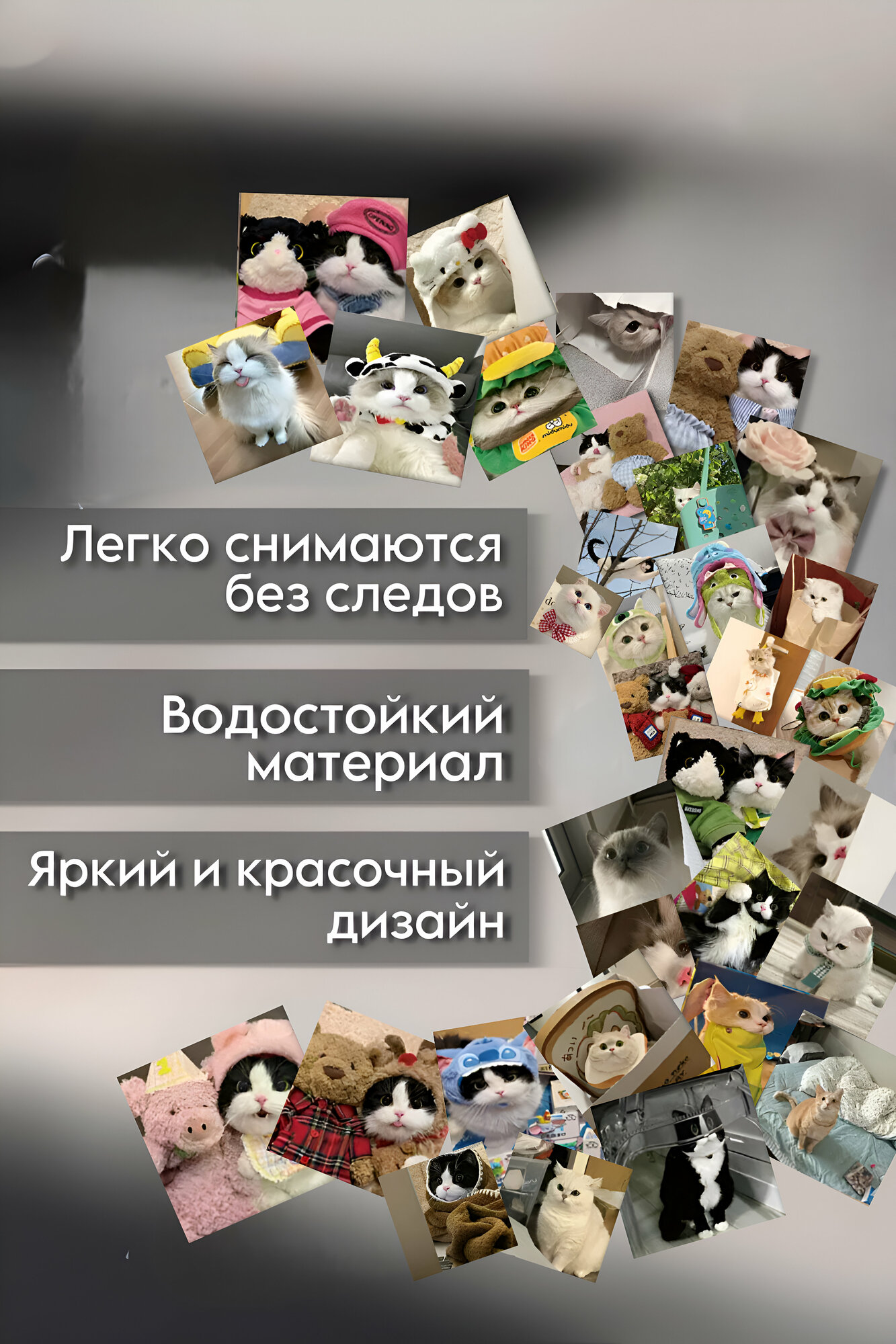 Стикеры "Котики", винил, водонепроницаемый, ПВХ, бумага, 120шт — фото 1