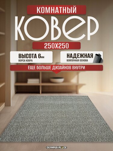 Изображение товара Ковер на пол безворсовый комнатный, 250 на 250; 2,5x2,5