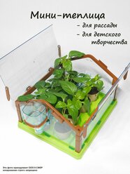 Мини-теплица (парник) для рассады и детского творчества