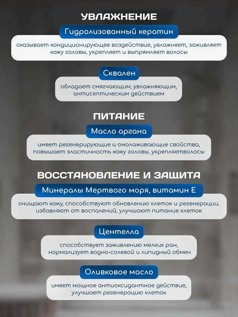 Шампунь для жирной кожи головы с минералами Мертвого моря, кофеином, салициловой кислотой, маслом мяты и жожоба 750 мл Famirel — фото 1