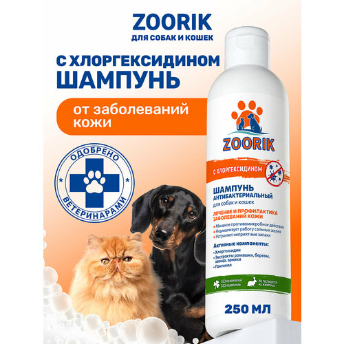Шампунь для собак и кошек / ZOORIK / Зурик / антибактериальный 250 мл