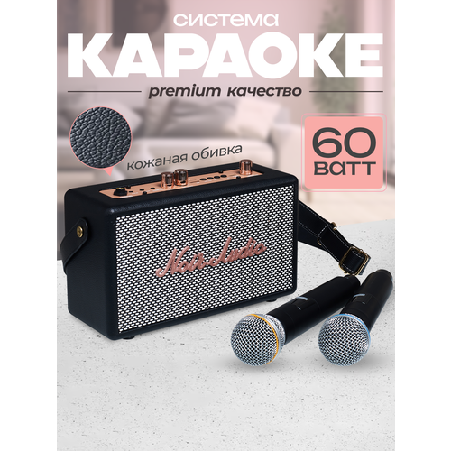 Караоке система NOIR-audio CLASSIC с двумя беспроводными микрофонами