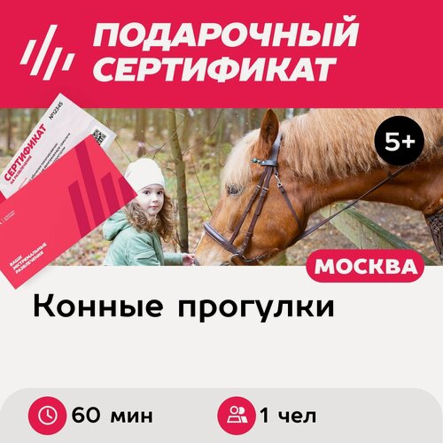 Изображение товара Подарочный сертификат Конная прогулка для 1 человека в составе группы (60 мин.)