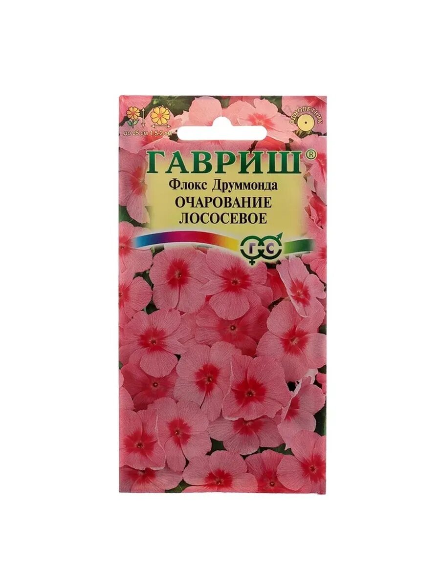 5 упак Семена цветов Флокс 