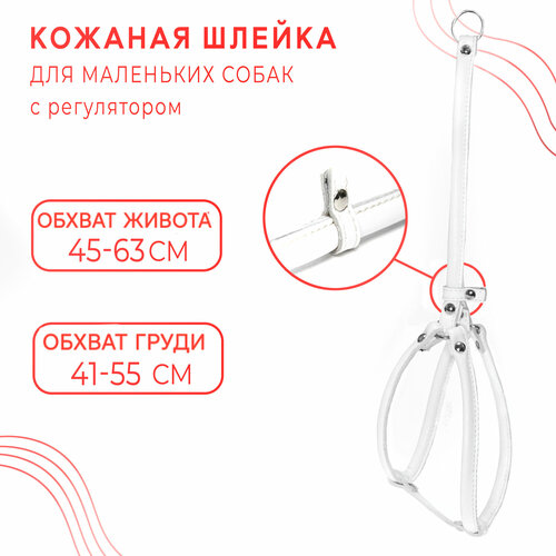 Круглая шлейка для маленьких собак с регулятором / Белый 14 мм