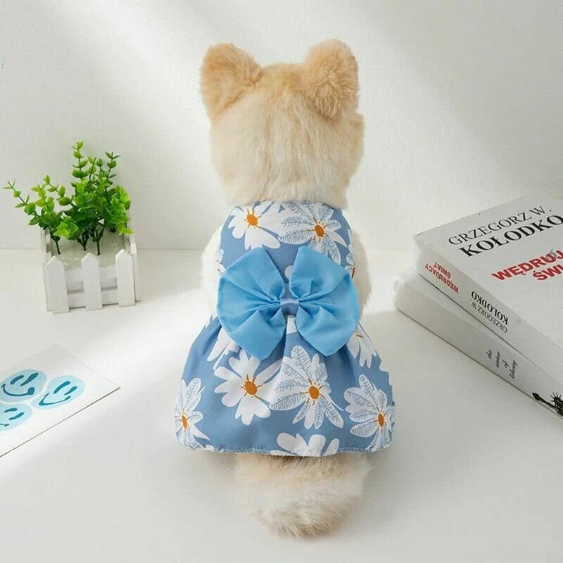 Платье для кошек и собак голубое с голубым бантом разм S (24)