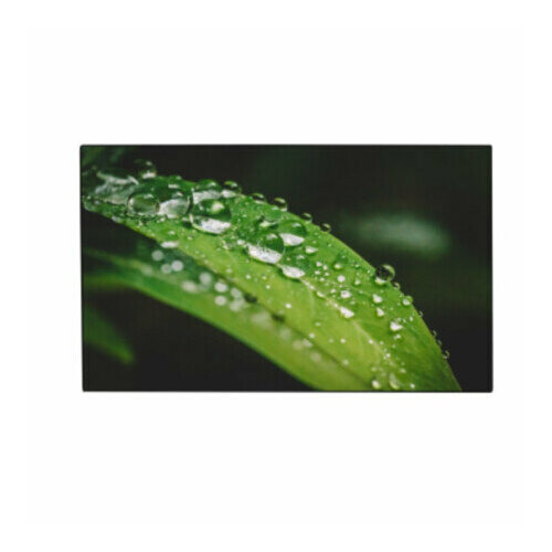 Панель Dahua DHI-LS550UEM-UG 69950000₽