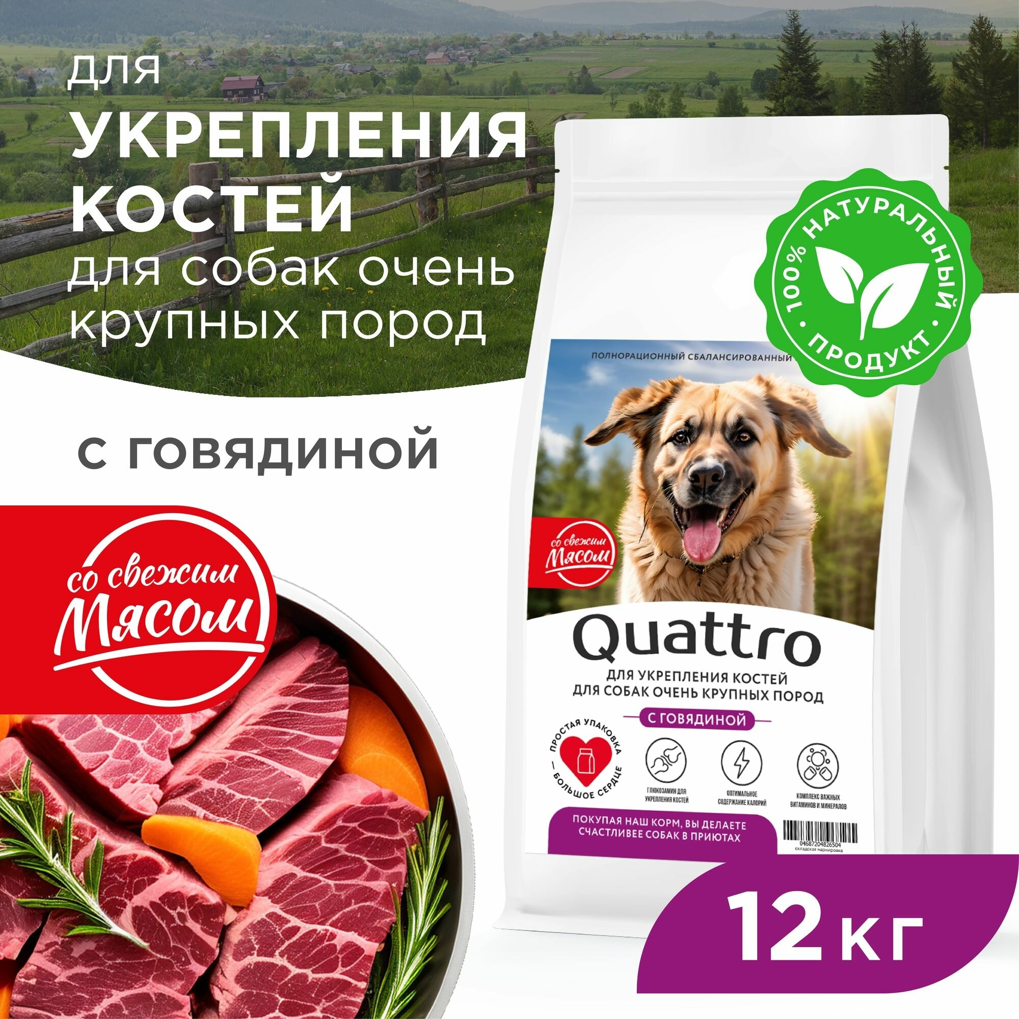 Корм сухой для взрослых собак очень крупных пород, премиум полнорационный комплекс, для укрепления костей у собак, с говядиной, 12 кг, QUATTRO