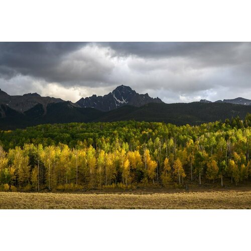 Фотоаппарат NIKON Z5 BODY