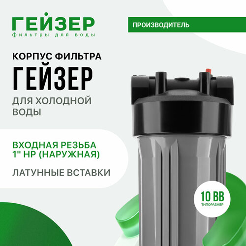 фото Гейзер корпус 10bb с латунными вставками 50715