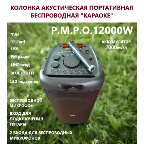Колонка акустическая Караоке DG 1103 160Вт Р М Р О 10000W Микрофон Bluetooth AUX USB TF FM Подключение гитары 30800₽