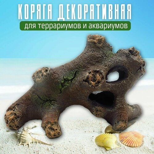 Декорация "Затонувшая коряга" (для аквариумов и террариумов), Deco-9