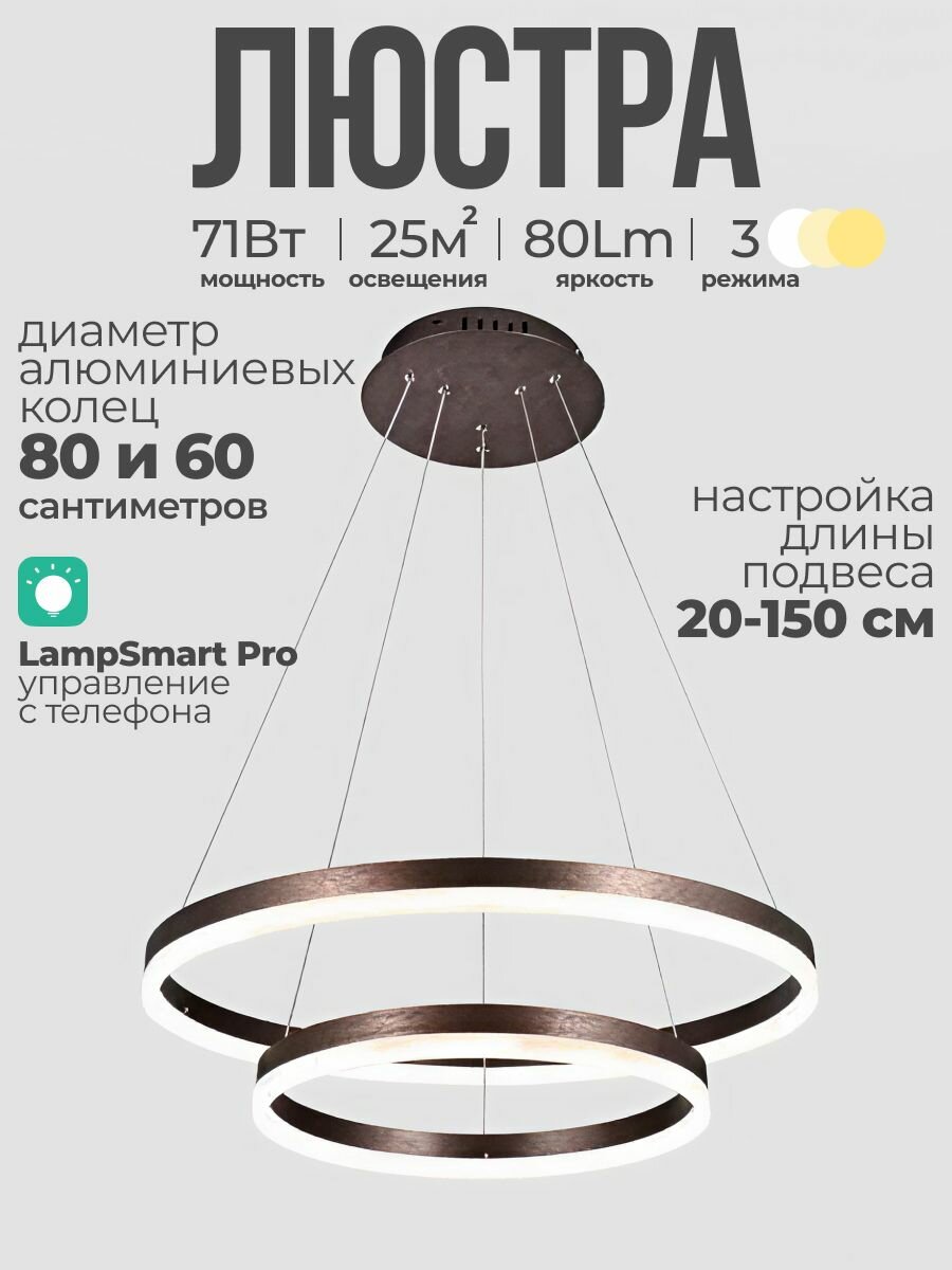 Люстра кольцевая LED 2 кольца 60 80 см