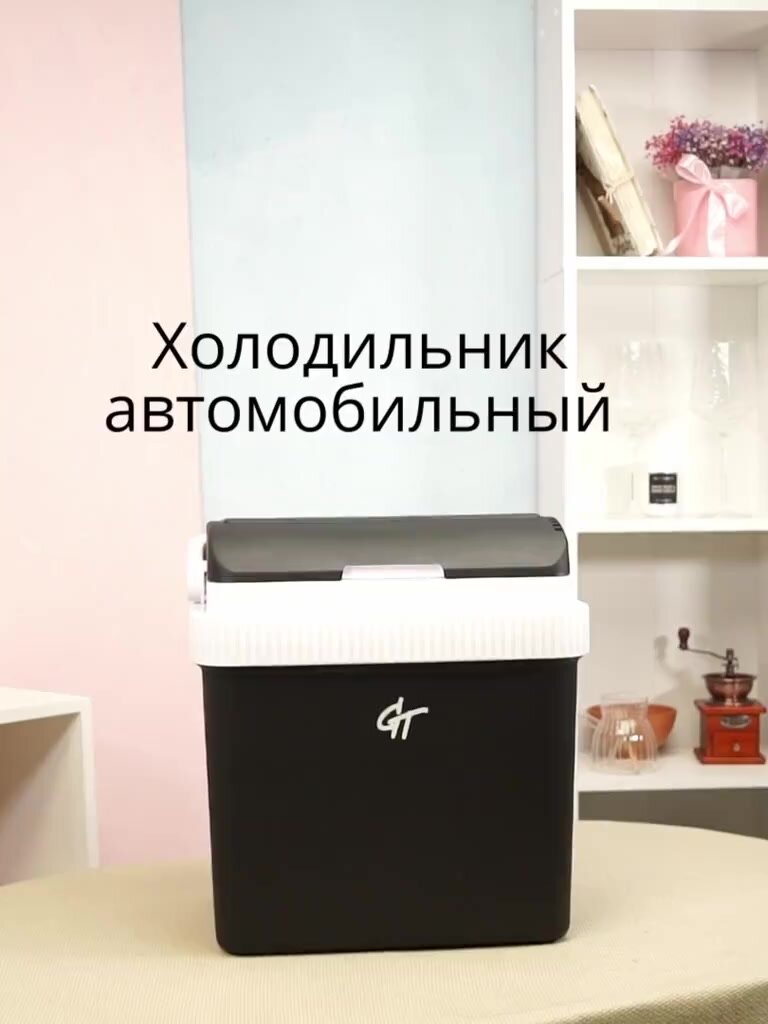 Автомобильный холодильник GALAOPT, 24л, термоэлектрический, 12/220 В, серый — фото 1