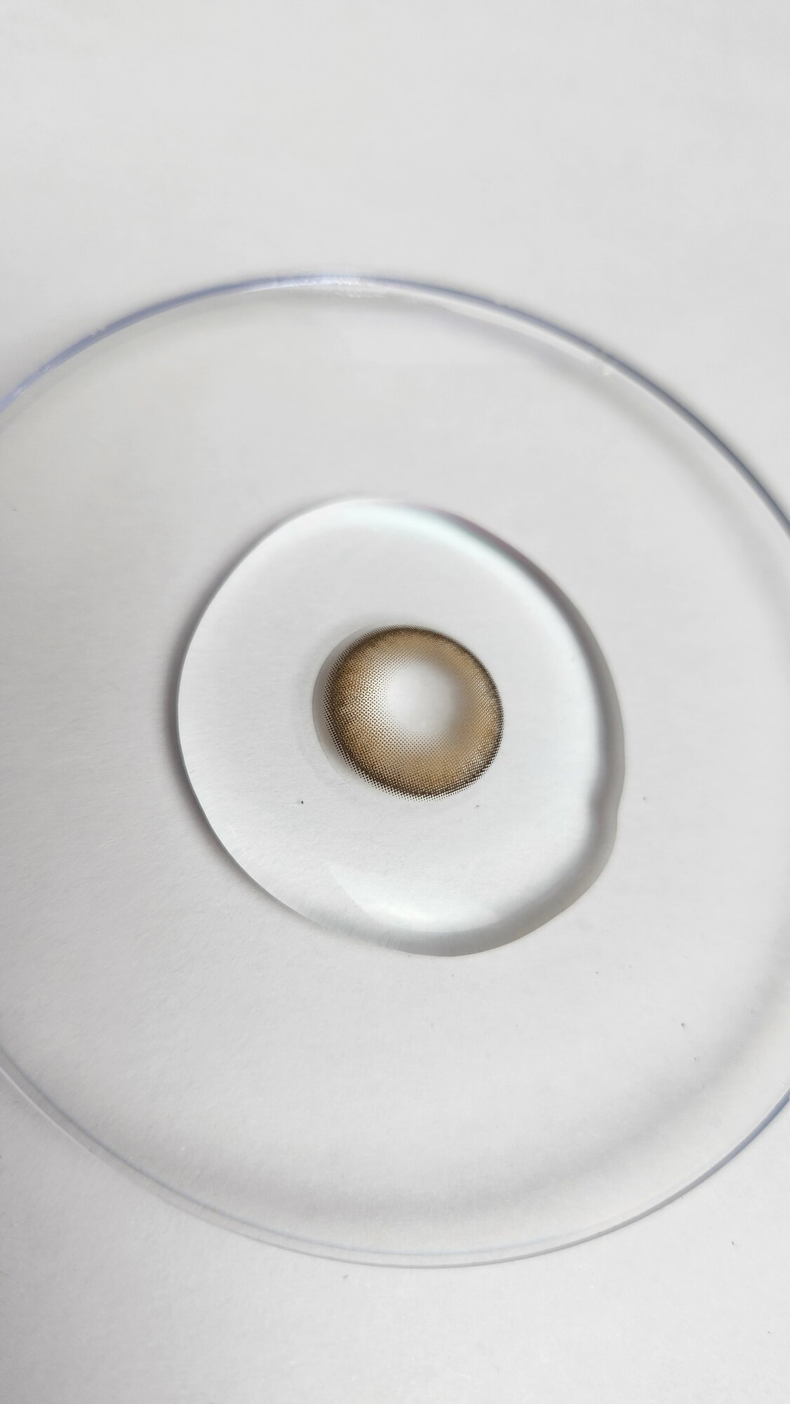 KIKO HAZEL -2.00 Контактные линзы для зрения, медовые, BC 8.6, DIA14.2, 12 месяцев — фото 1