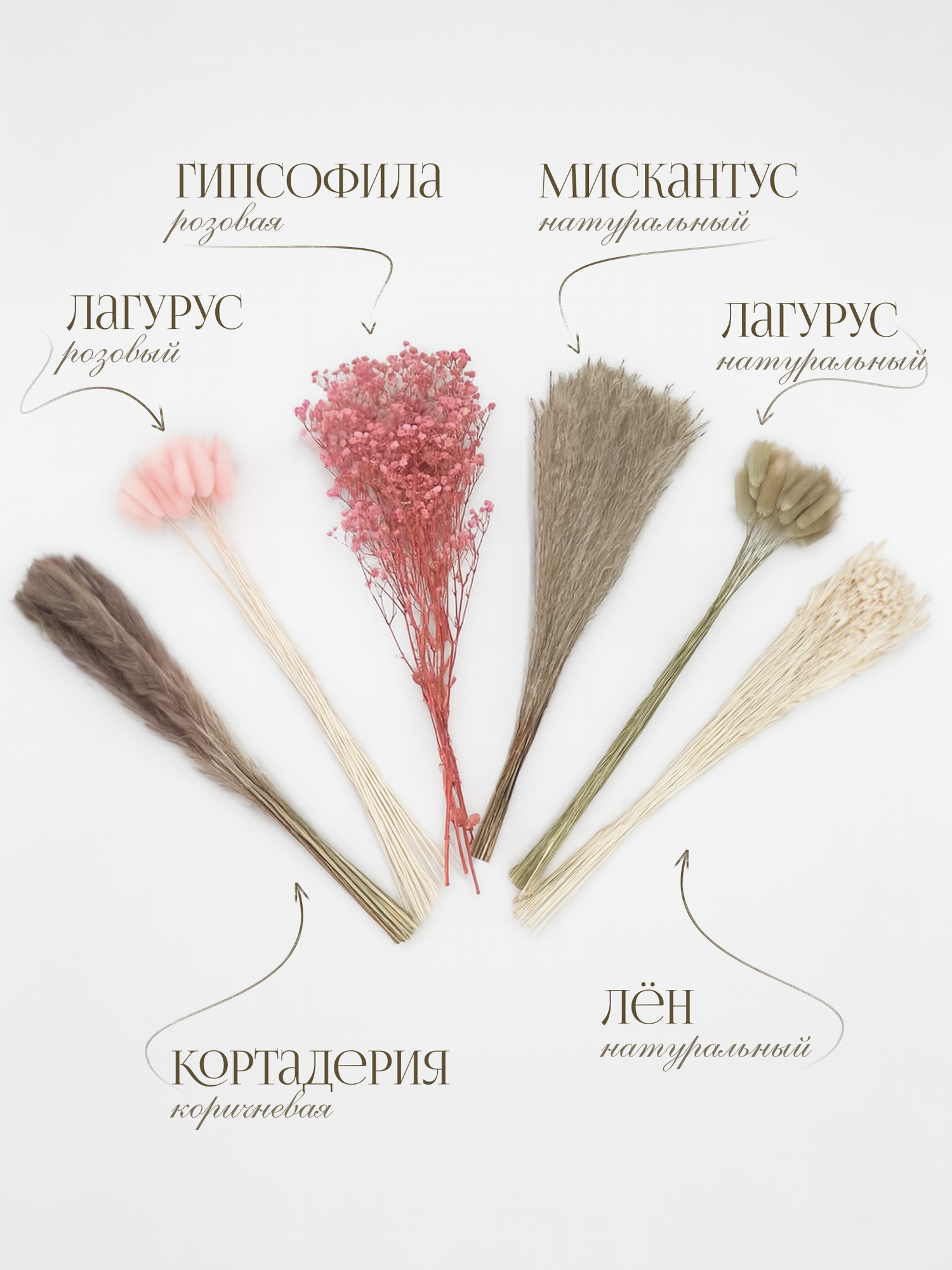 Сухоцветы для декора, букет из сухоцветов: гипсофила, кортадерия, лагурус, мискантус, лен - розовые — фото 1