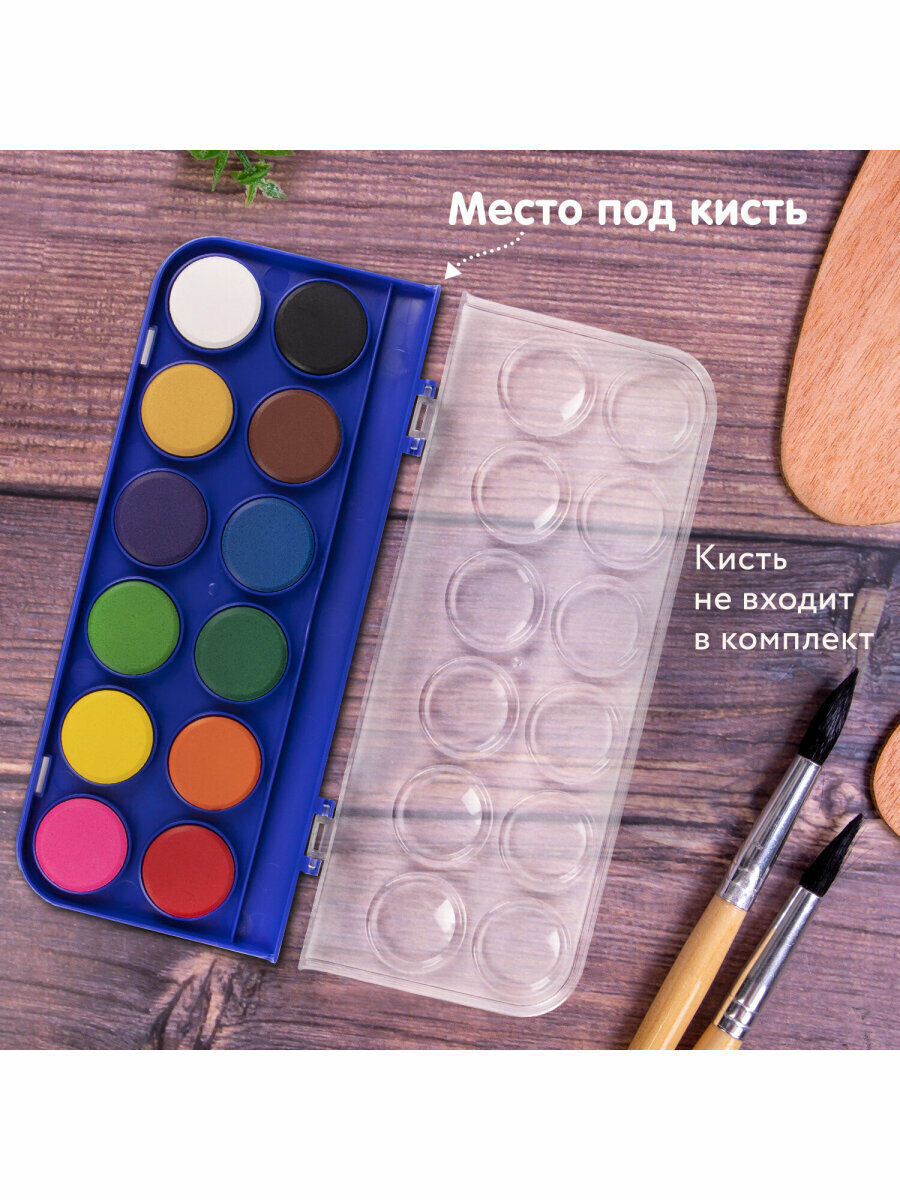 Краски акварельные для рисования сухие Brauberg Premium 12 цветов, круглые кюветы 28 мм, 191743 — фото 1