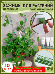 OlLena Garden / Самоклеющиеся зажимы для вьющихся растений и проводов / Набор для подвязки растений, зеленые 28х15 мм