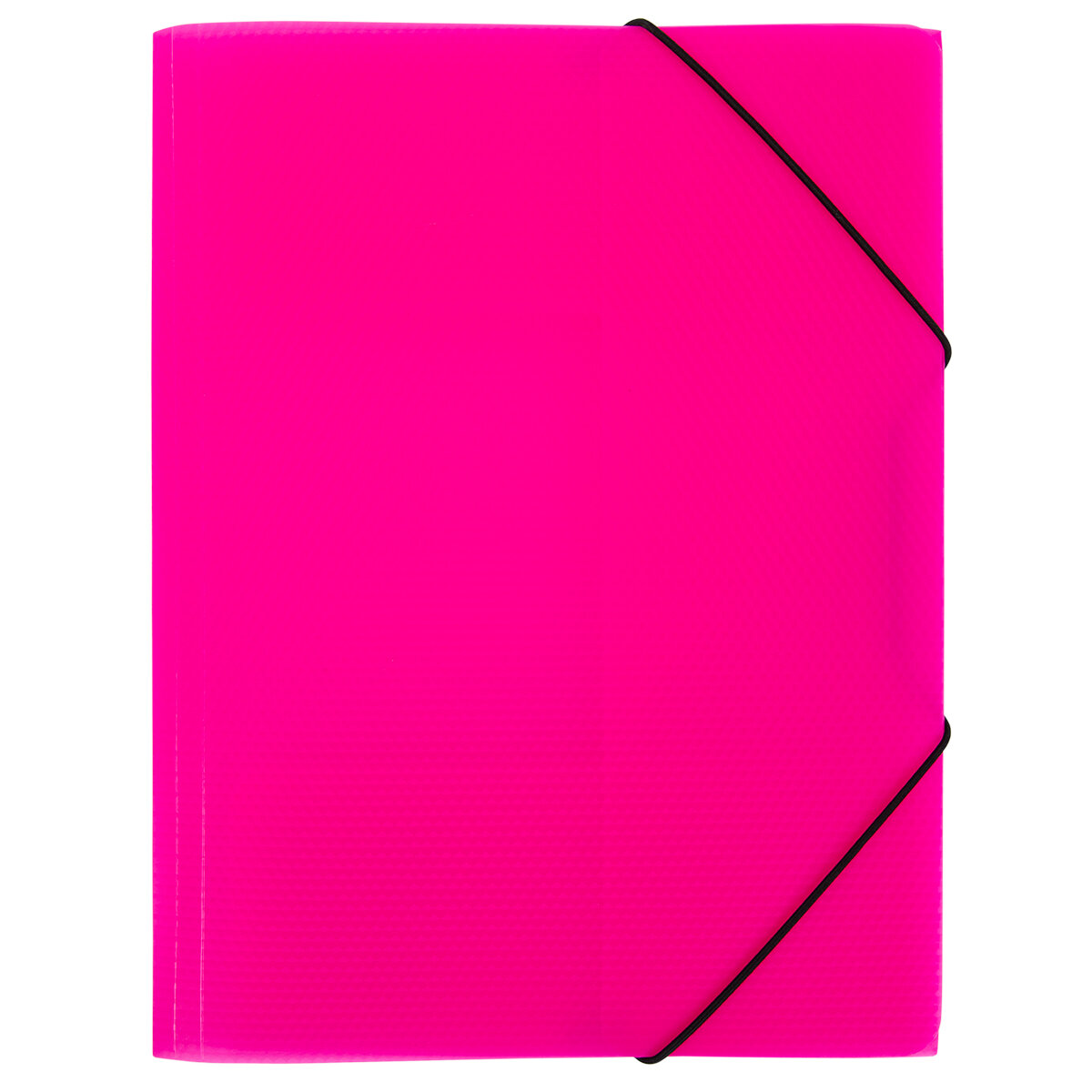 Папка на резинке "Expert Complete" PRISMA NEON A4 600 мкм 35 мм розовый EC210400013