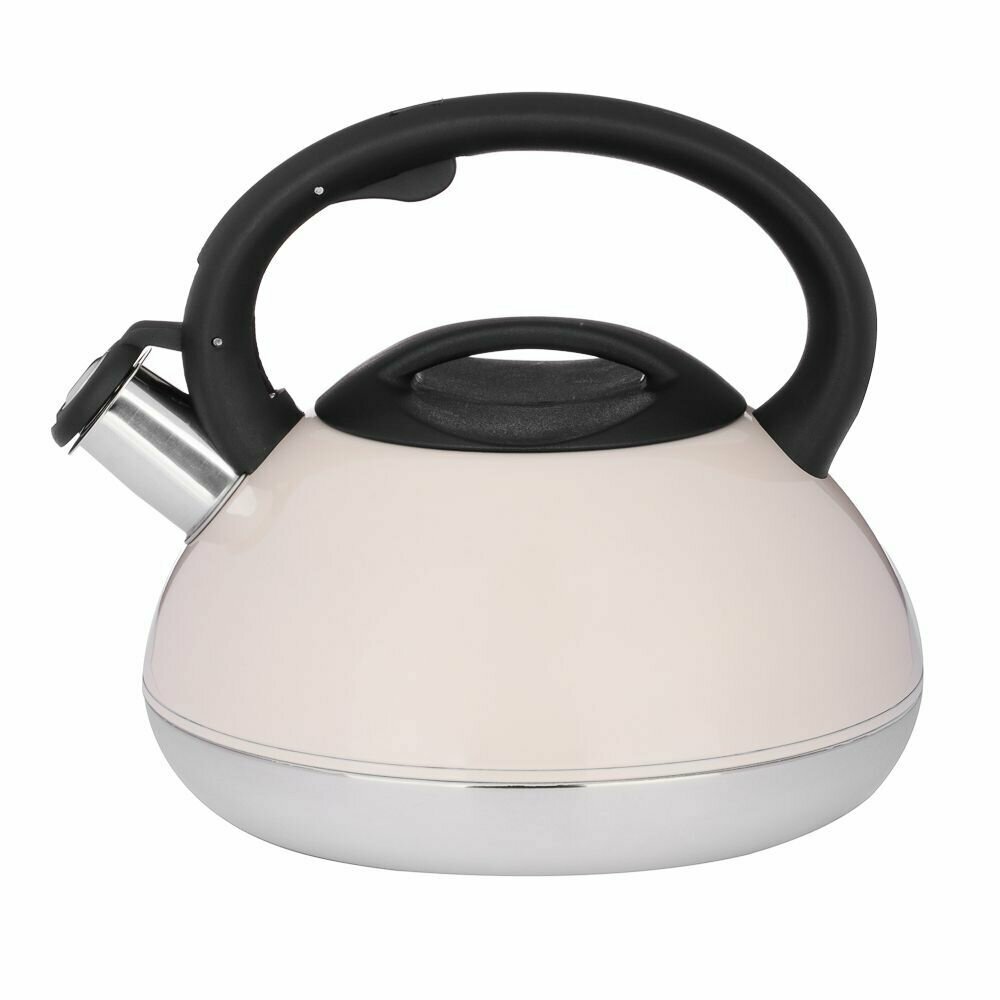 фото Чайник для плиты 3 л