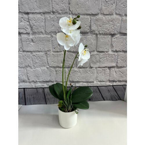 Орхидея Фаленопсис в кашпо 2 цветоноса, белая, высота 50см