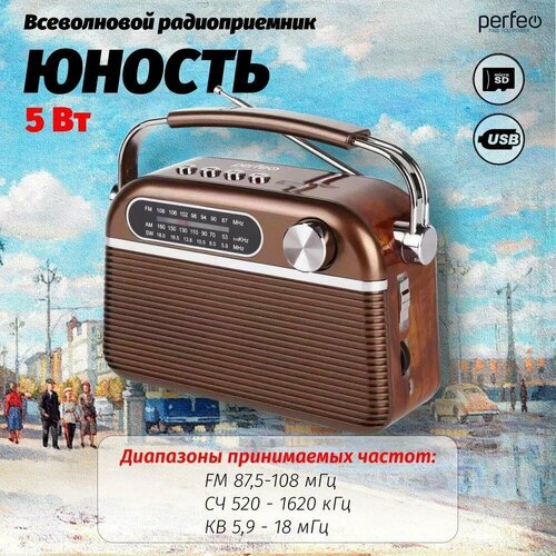 PERFEO (PF_D0560) Юность I30BL коричневый