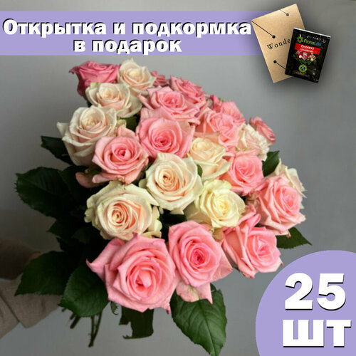 Букет роз из 25 штук 50 см (микс: розовые/белый)