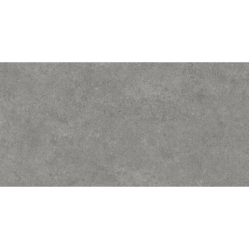 Плитка из керамогранита KERAMA MARAZZI DL500920R Фондамента серый обрезной для стен и пола, универсально 60x119,5 (цена за 2.151 м2) подступенок фондамента серый темный 10 7х119 5 dl501000r 1 1 шт