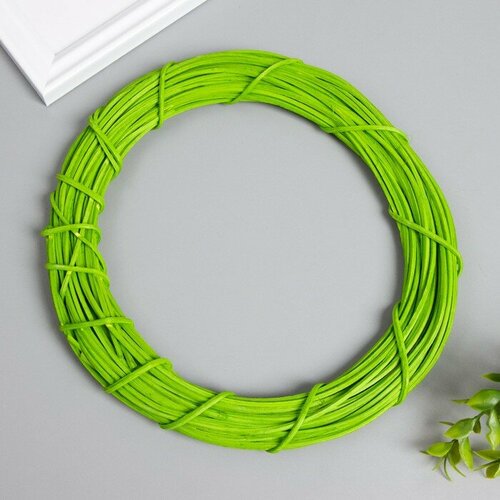 Кольцо ротанг для изготовления ловца снов Зелёный d20 см 647₽