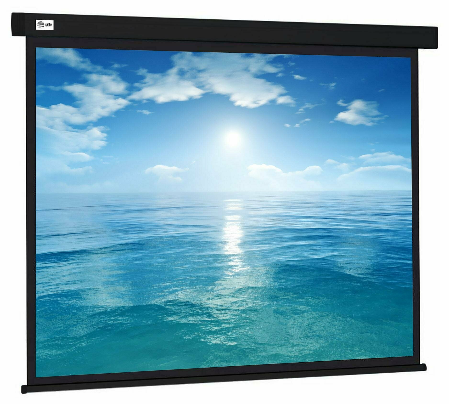 Экран Cactus 104.6x186см Wallscreen CS-PSW-104X186-BK 16:9, черный