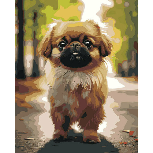 Картина по номерам Собака Пекинес гуляет по городу 4 40x50
