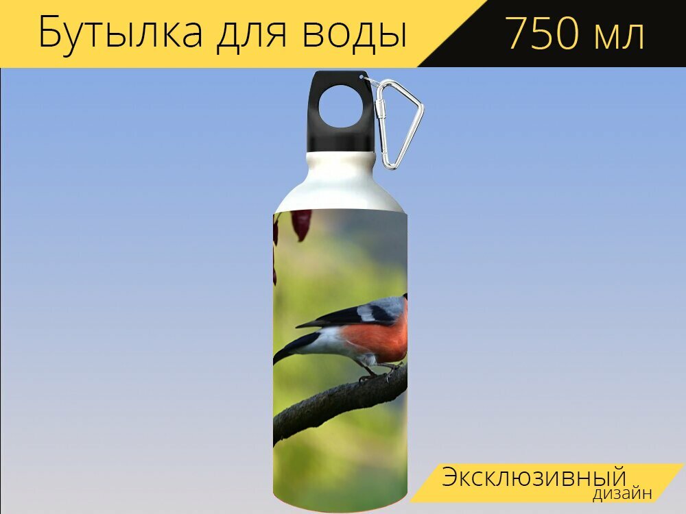 Бутылка фляга для воды "Животное, птица, снегирь" 750 мл. с карабином и принтом