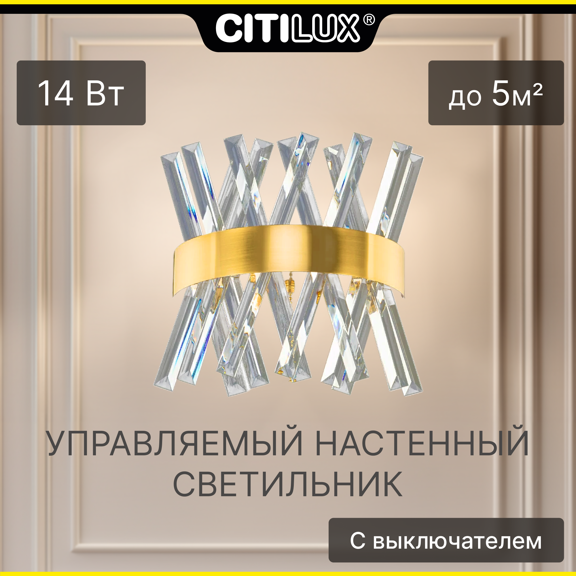 Светильник настенный с выключателем Citilux CL336313 Ричард Бронза