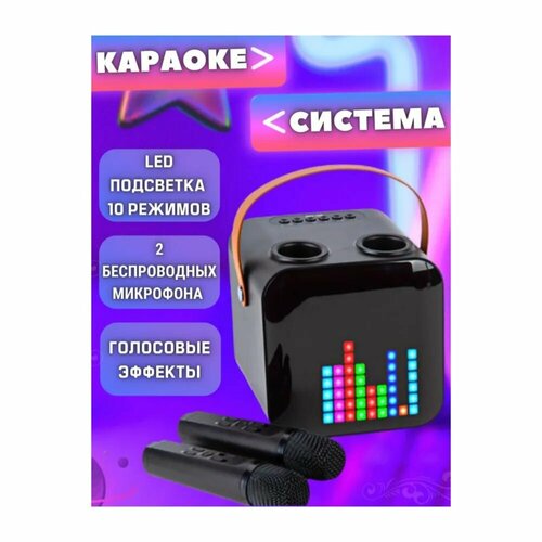 Портативная караоке-система SP100 c двумя радиомикрофонами (черная)