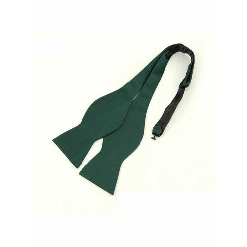 Бабочка , зеленый