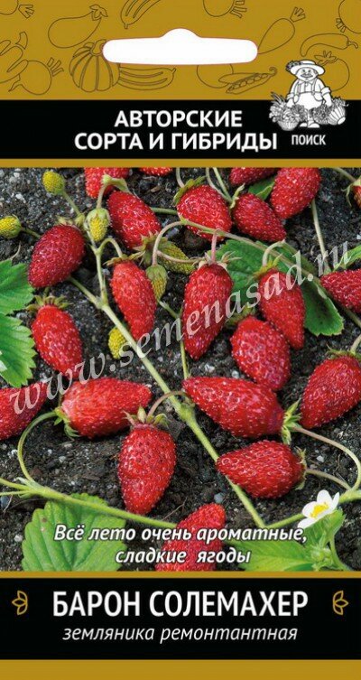 Земляника Барон Салемахер 100шт. (Поиск)