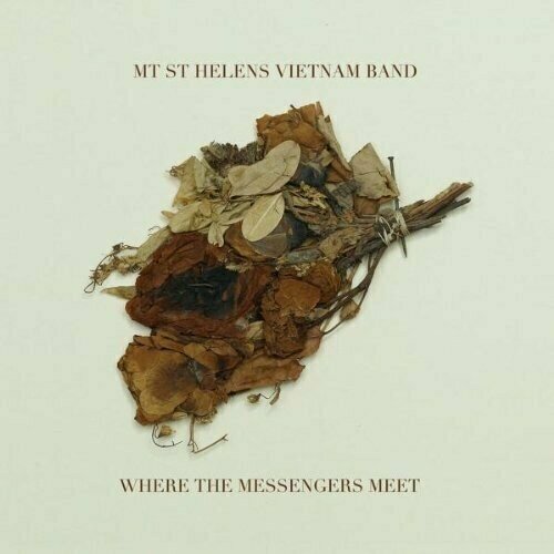 Виниловая пластинка Mt St Helens Vietnam Band: Where The Messengers Meet