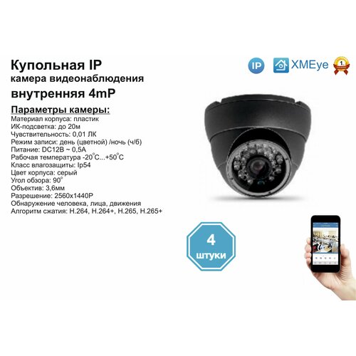 4шт DVS300IP4MP Внутренняя IP камера 4мП с ИК до 20м 893000₽