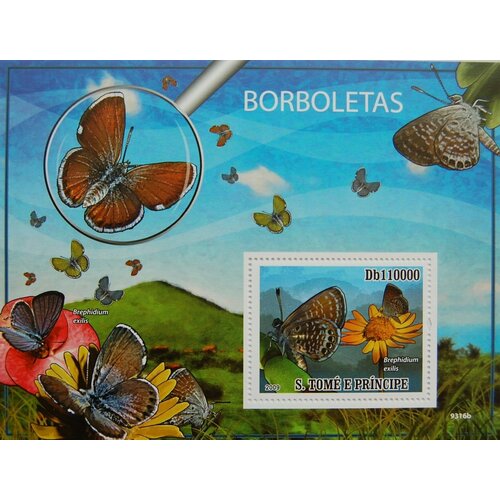 Почтовые марки Сан-Томе и Принсипи 2009г. Фауна - самые большие бабочки в мире Бабочки, Насекомые, Фауна MNH почтовые марки мали 2020г азиатские бабочки бабочки насекомые фауна mnh