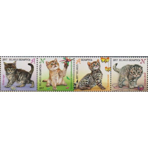 Почтовые марки Беларусь 2017г. Котята Кошки MNH