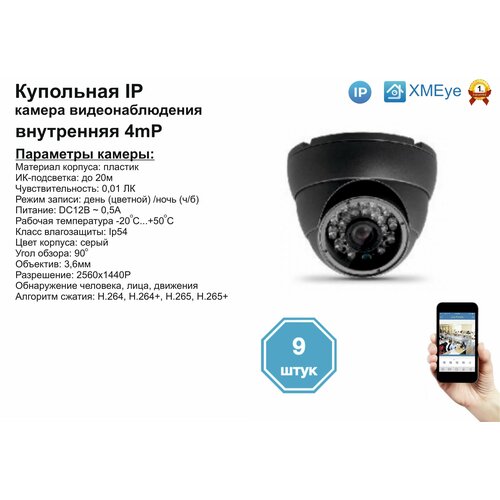 9шт DVS300IP4MP Внутренняя IP камера 4мП с ИК до 20м 1904000₽