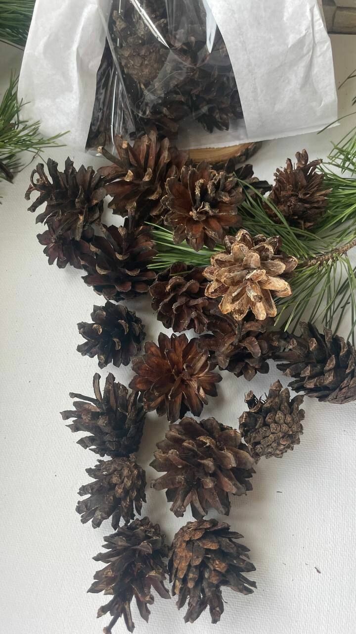 фото Набор натуральных сосновых шишек для декора и новогодних поделок, 20 штук