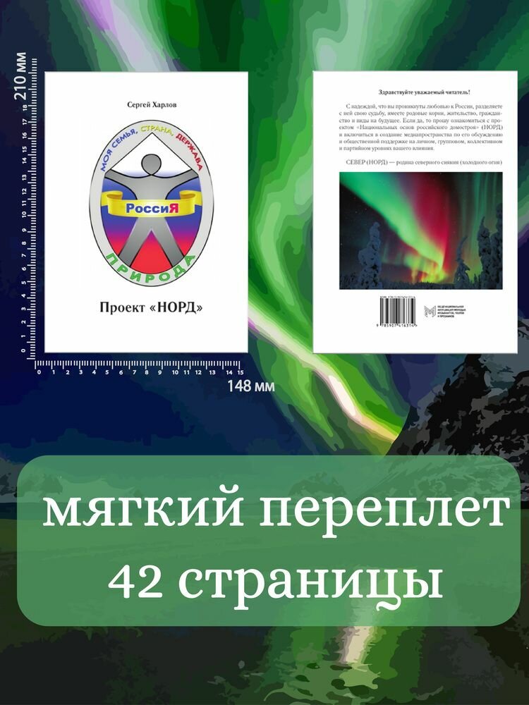 Проект НОРД (Харлов Сергей) - фото №5