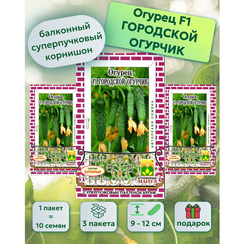 Семена огурцов Городской огурчик F1, 3 пакета семена огурец городской огурчик f1 5шт цп