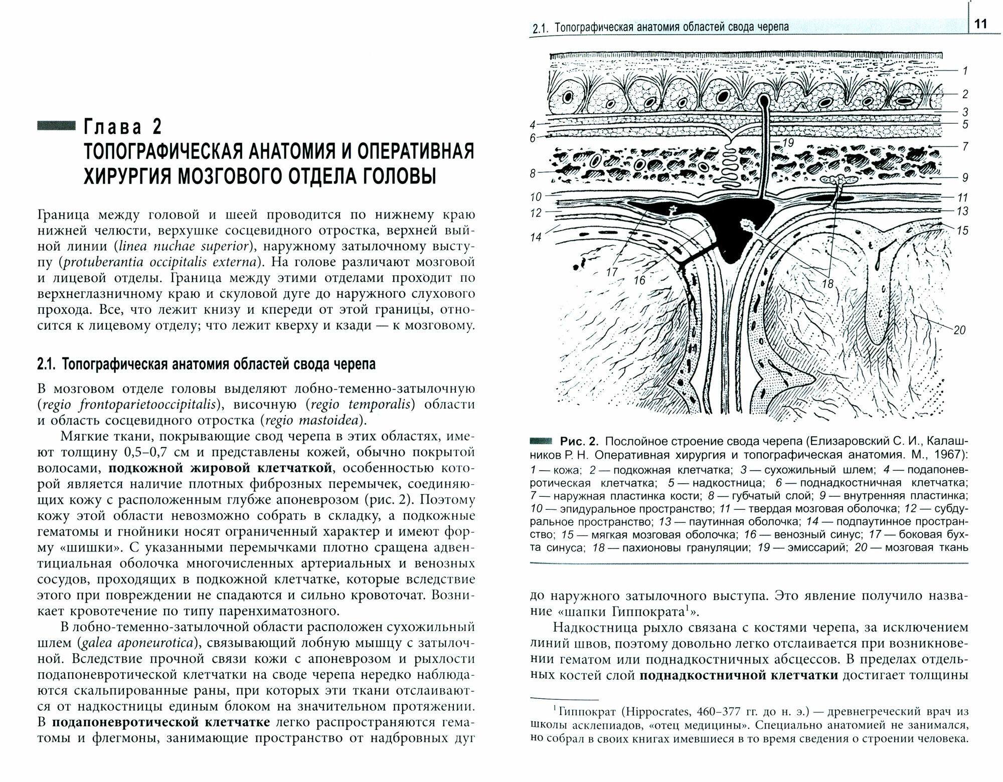 Клиническая анатомия головы и шеи. Учебник для студентов лечебного факультета - фото №4