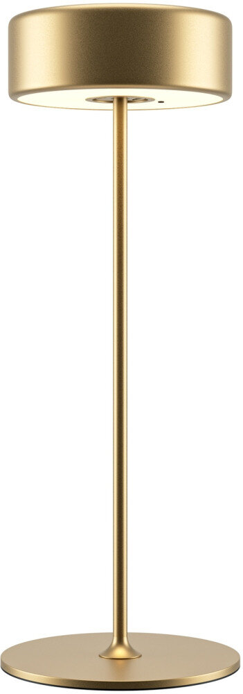 фото Интерьерная настольная лампа AI Collaboration MOD229TL-L3G3K2 Maytoni