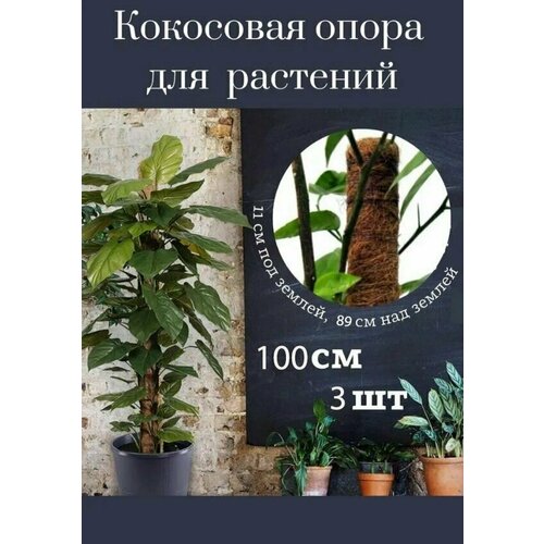 Кокосовая опора для комнатных и садовых цветов, держатель для растений в оплетке, 100 см , 3 шт. опора для растений коковита из кокосового волокна 40см d 5см