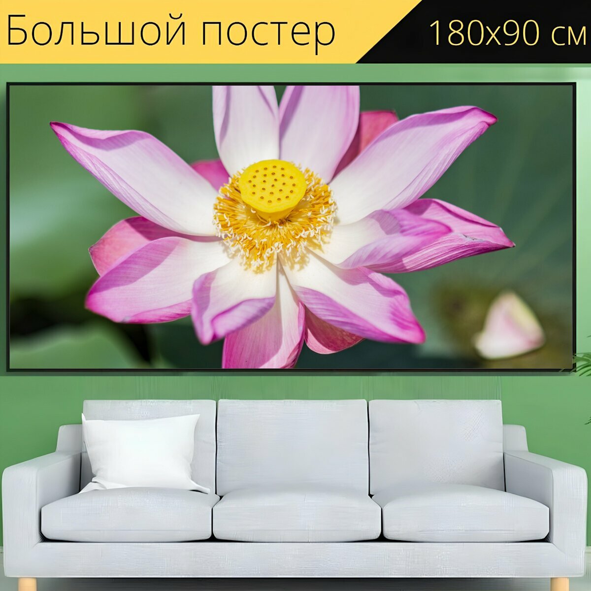 Большой постер "Лотос, цветок, завод" 180 x 90 см. для интерьера