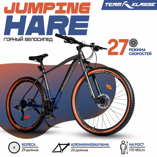 Горный велосипед Team Klasse B-2-C серый синий 29 34799₽